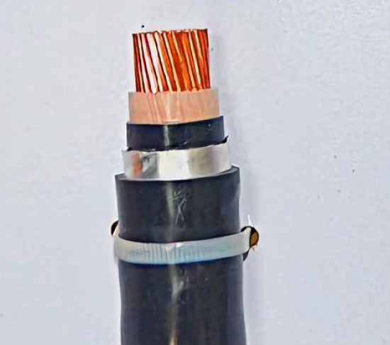 day-dien-lioa-cxv-data-150-600v-1kv