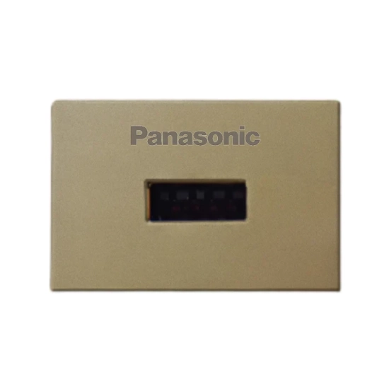 o-cam-sac-usb-don-dang-doc-bat-vit-panasonic-wef108107myz-vn-mau-vang-anh-kim
