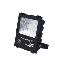 led-pha-dien-quang-dq-fl40-30w