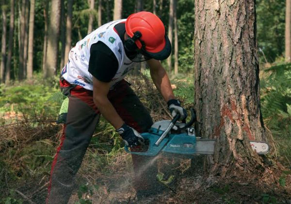 Máy cưa xích chạy bằng xăng 