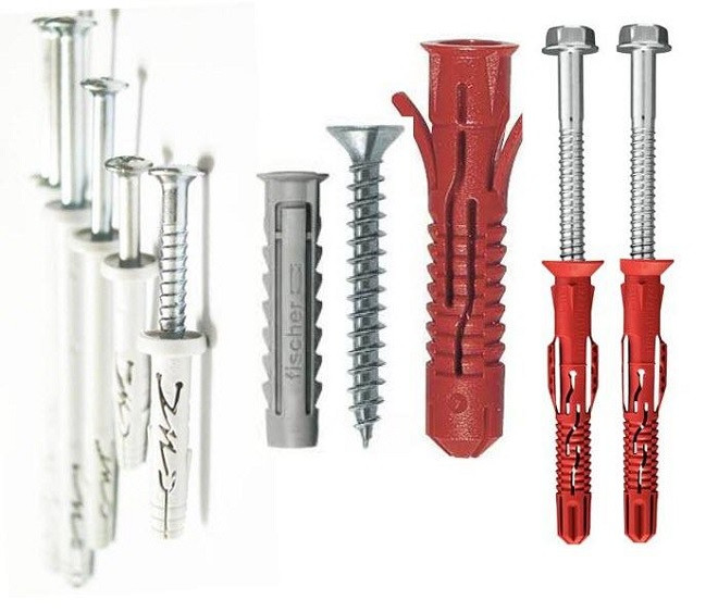 Tắc kê được chia thành nhiều loại khác nhau